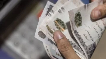 الحكومة توضح موعد إعلان زيادة المرتبات المقبلة